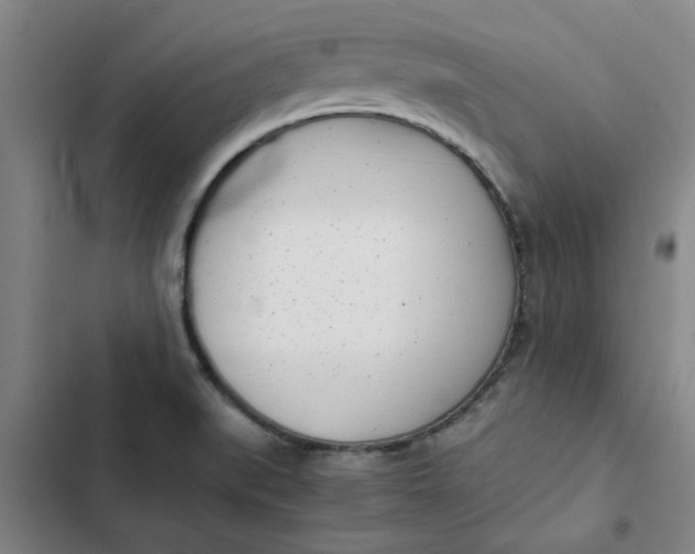 X0000102471519200808221631