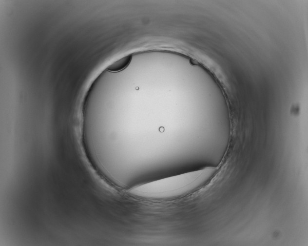 X0000102471520200808221631