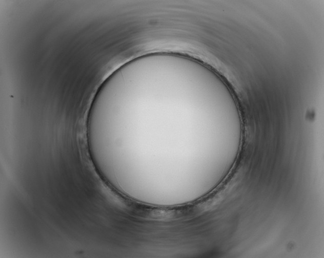 X0000102471521200808221631