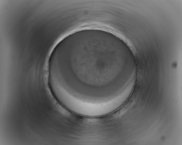 X0000102471522200808221631