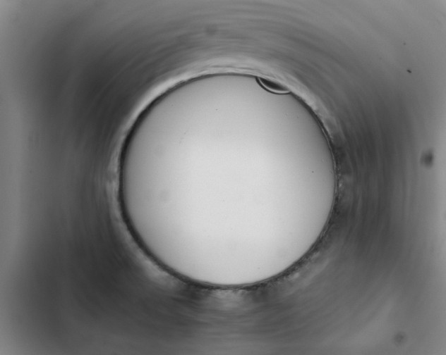 X0000102471523200808221631