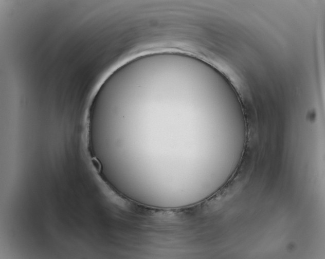 X0000102471524200808221631