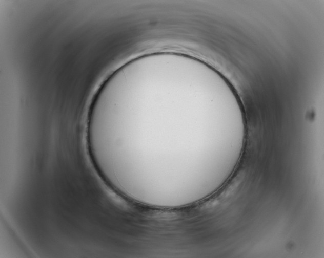 X0000102471525200808221631