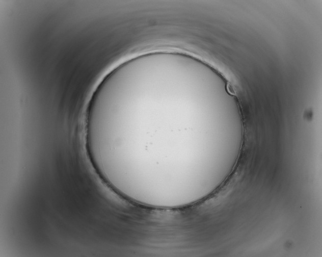 X0000102471526200808221631