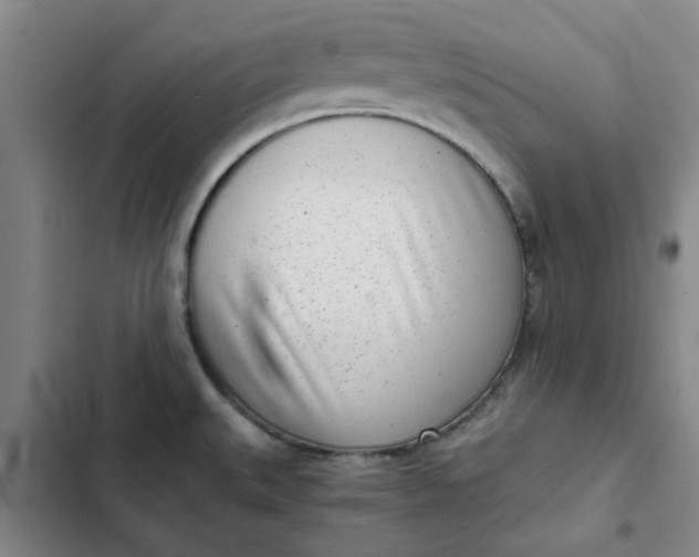 X0000102471527200808221631