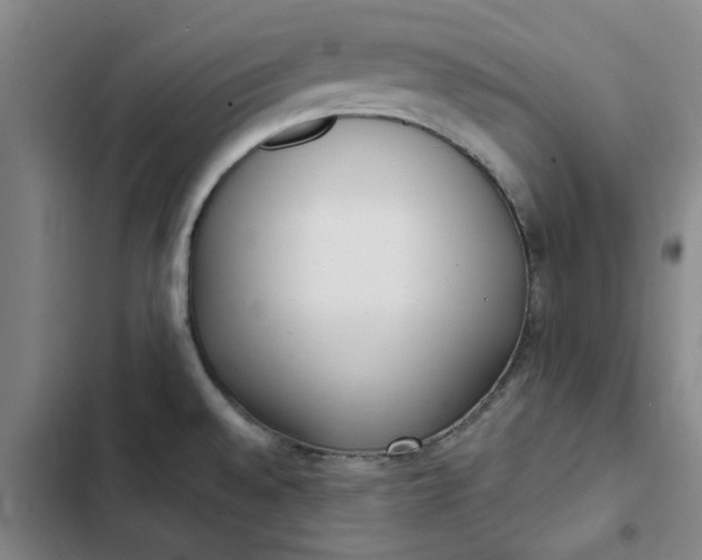 X0000102471528200808221631