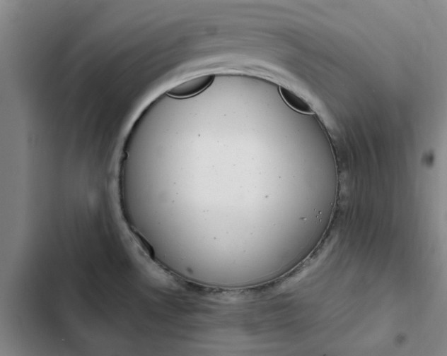 X0000102471530200808221631