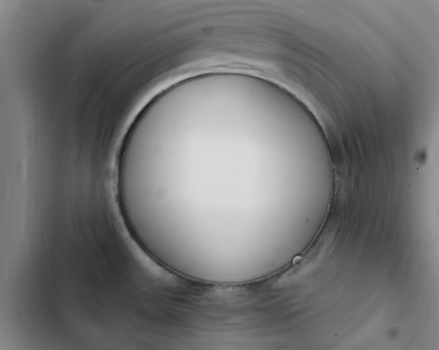 X0000102471531200808221631