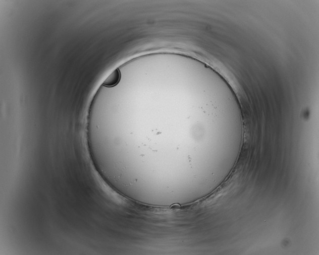 X0000102471532200808221631