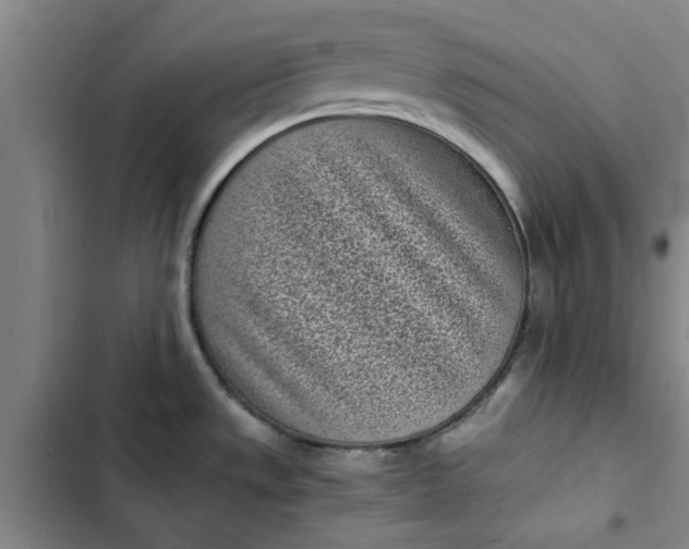 X0000102471533200808221631