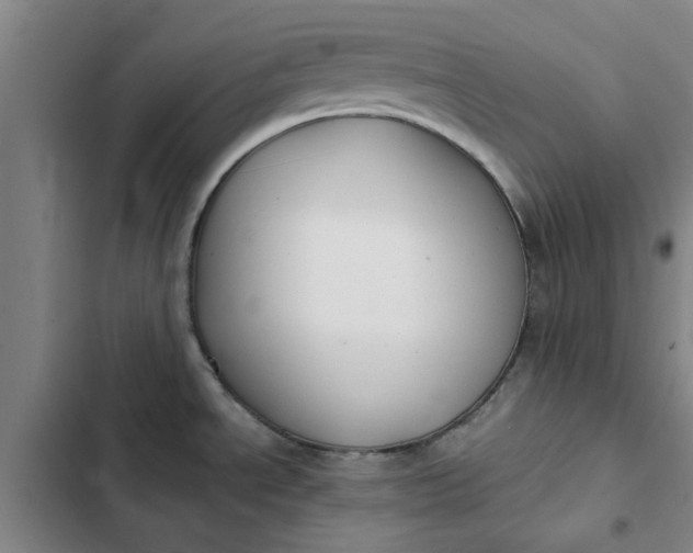 X0000102471534200808221631