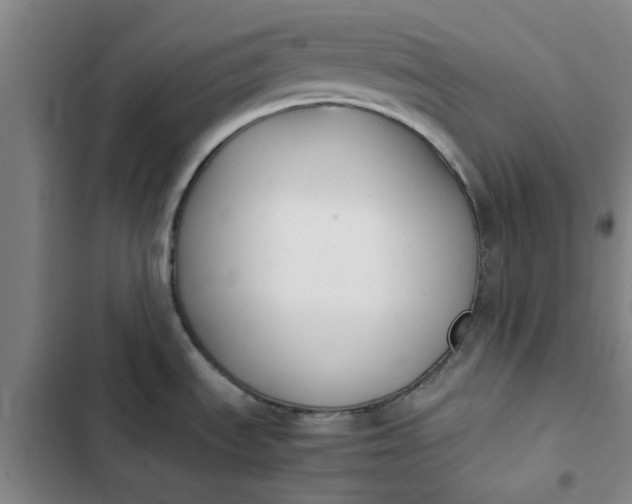 X0000102471535200808221631