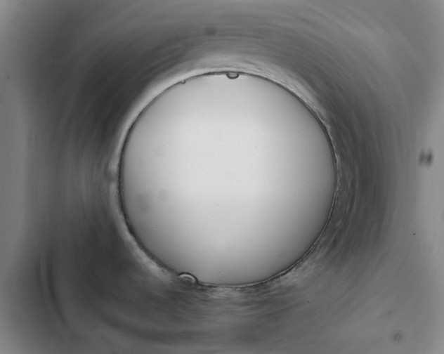 X0000102471536200808221631