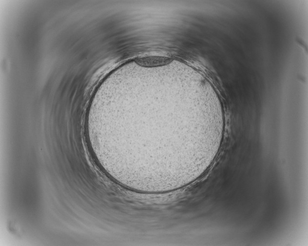 X0000102470001200808291615
