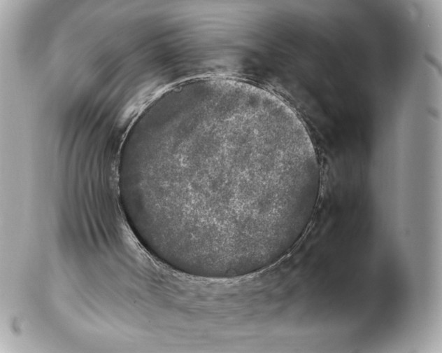 X0000102470002200808291615