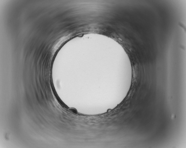 X0000102470003200808291615