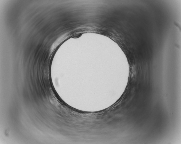 X0000102470004200808291615