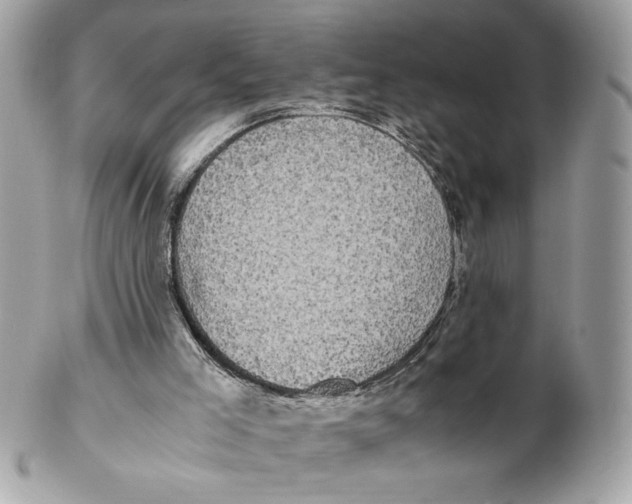 X0000102470005200808291615