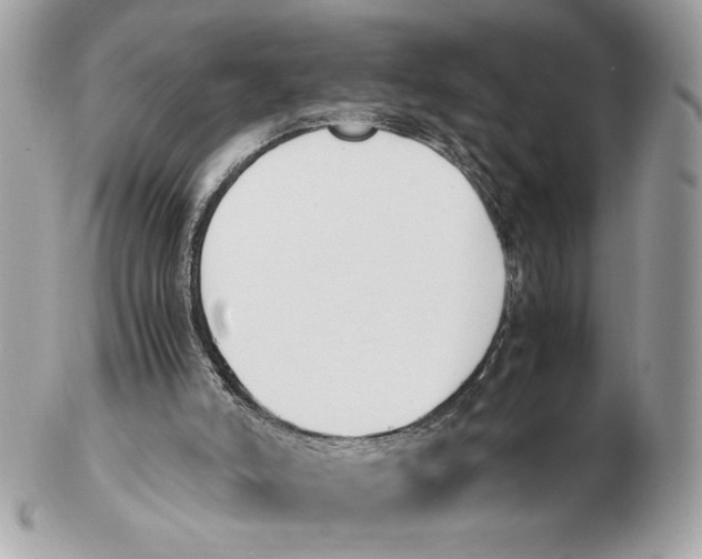 X0000102470006200808291615