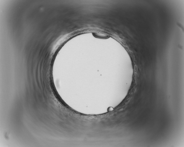 X0000102470007200808291615