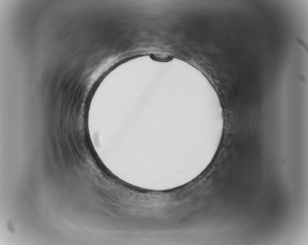 X0000102470008200808291615