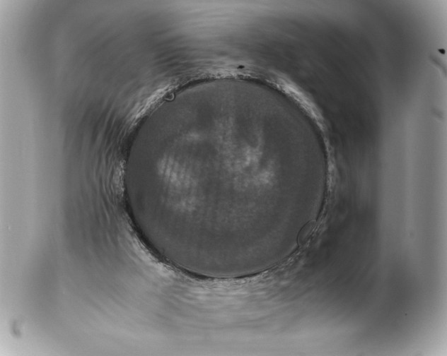 X0000102470009200808291615