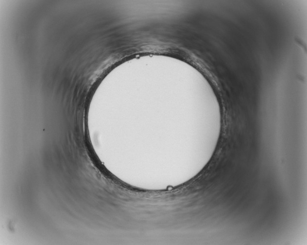 X0000102470011200808291615
