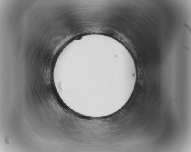 X0000102470012200808291615
