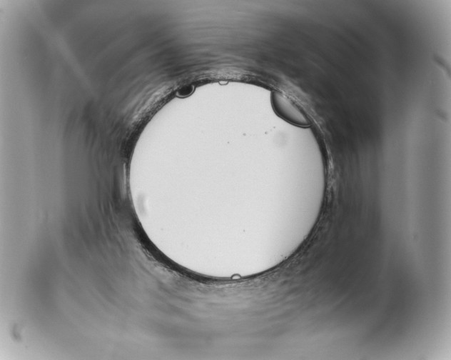 X0000102470013200808291615