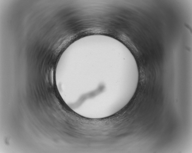 X0000102470014200808291615