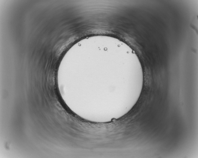 X0000102470015200808291615
