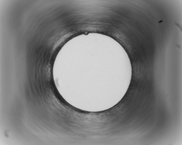 X0000102470016200808291615