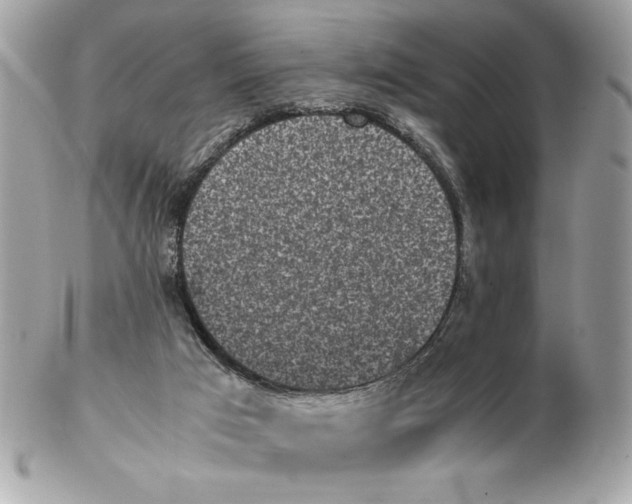 X0000102470017200808291615