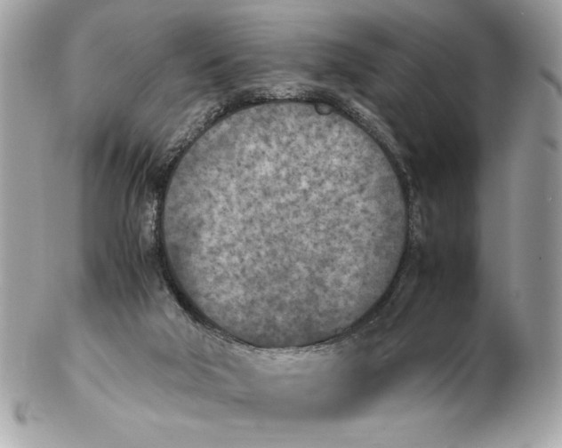 X0000102470018200808291615