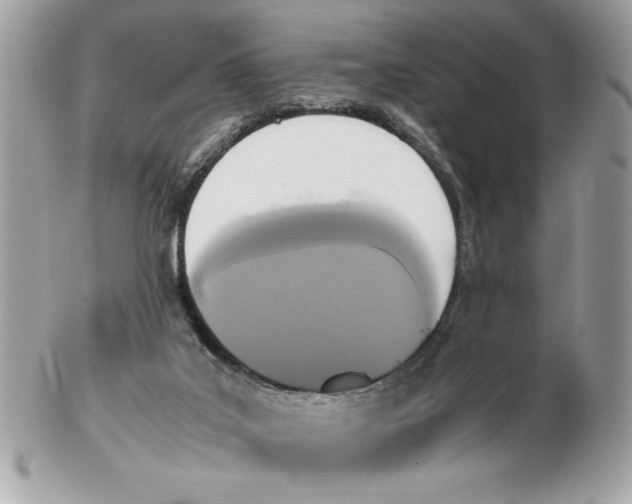 X0000102470019200808291615