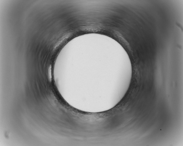 X0000102470020200808291615