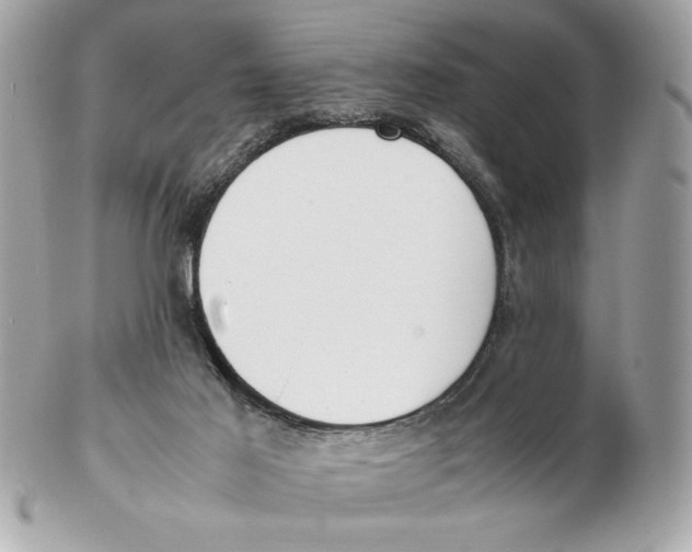X0000102470021200808291615