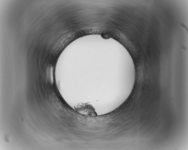 X0000102470022200808291615