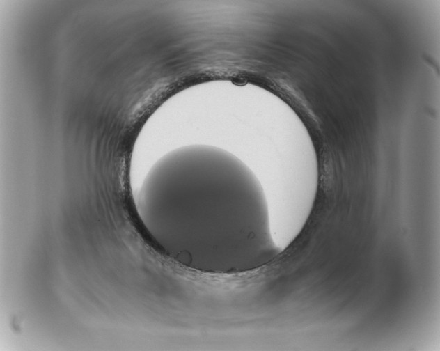 X0000102470023200808291615