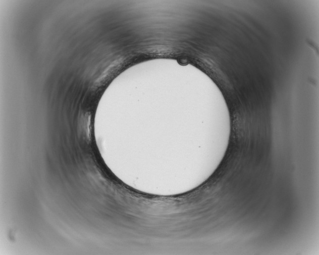 X0000102470024200808291615
