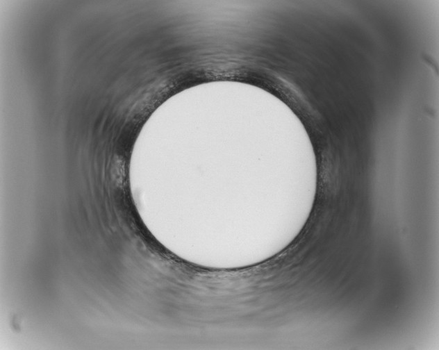 X0000102470025200808291615