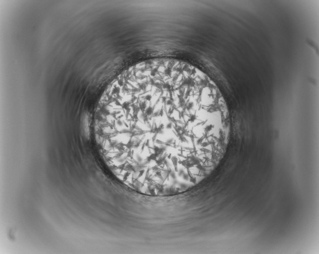 X0000102470026200808291615