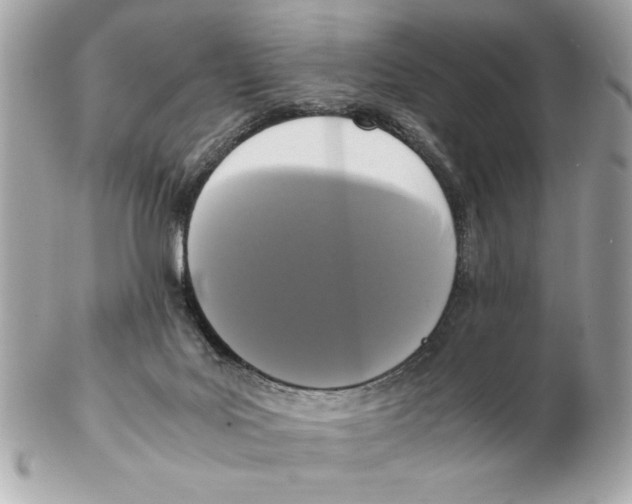 X0000102470027200808291615