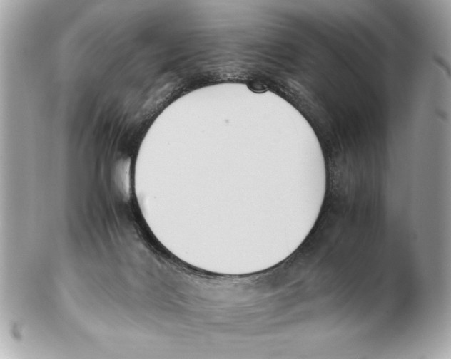 X0000102470028200808291615