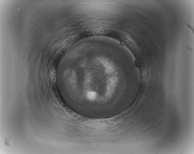 X0000102470029200808291615