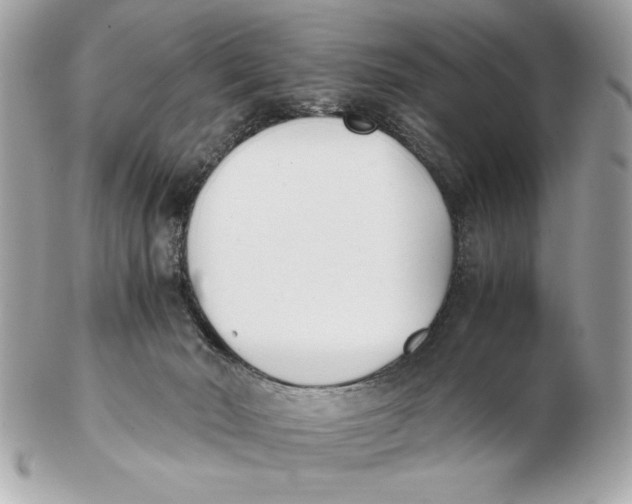 X0000102470030200808291615