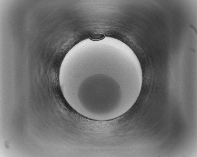 X0000102470031200808291615