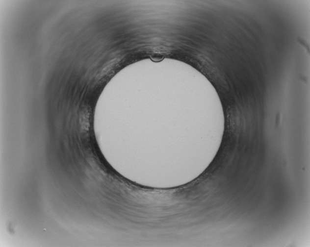 X0000102470032200808291615