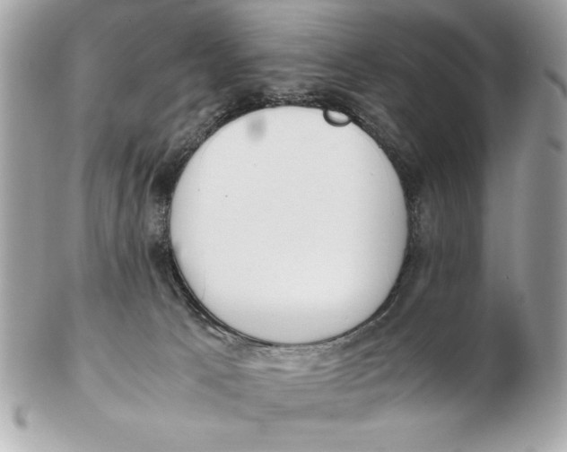 X0000102470033200808291615