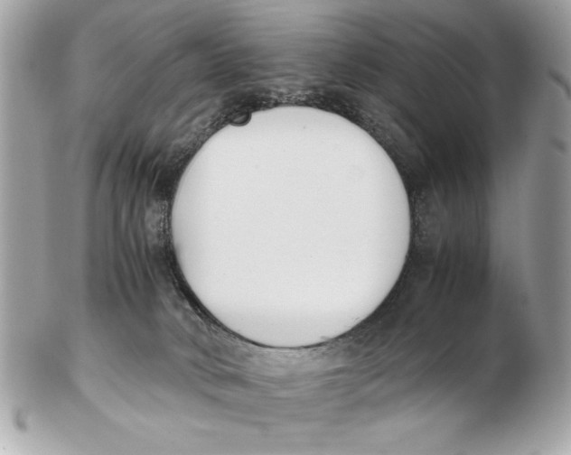 X0000102470034200808291615